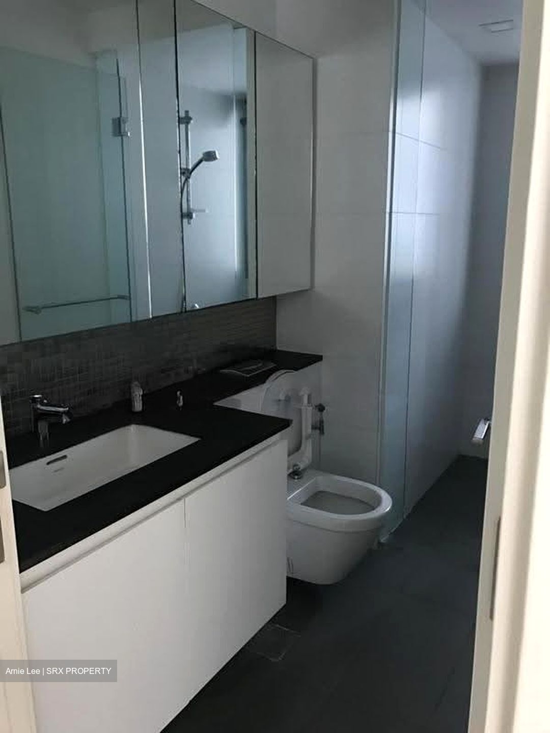 The Minton (D19), Condominium #619675961